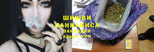 дурь Магас