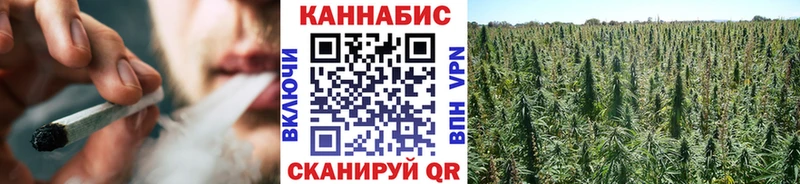 Каннабис MAZAR  Купить где  Прохладный 